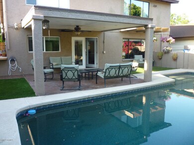 Pool and Patio