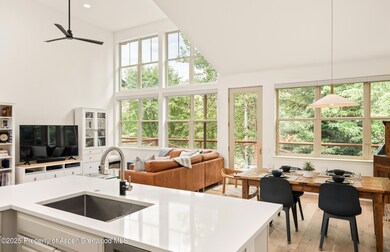 545 Evans Ct, Basalt, CO 81621 - photo 4