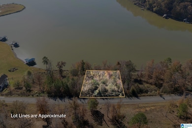 0 Willow Dr unit 21436835, Lincoln, AL 35096 - photo 6