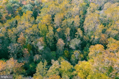 0 Pequea Blvd unit PALA2077958, Conestoga, PA 17516 - photo 5