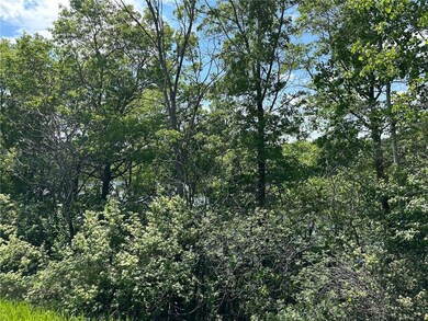 TBD 140th Street St, Amery, WI 54001 - photo 7