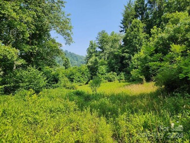 000 Hickory Nut Ridge Rd unit 10, Burnsville, NC 28714 - photo 4