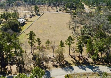 29815 Tudor Way, Magnolia, TX 77355 - photo 5