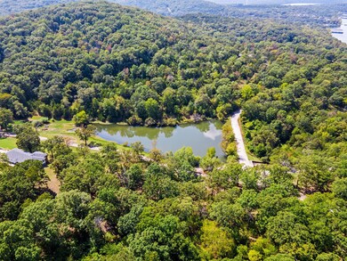 50 Irish Hills Blvd, Kimberling City, MO 65686 - photo 6