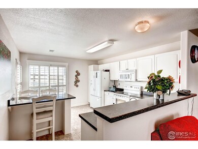 1753 Zephyr St, Brighton, CO 80603 - photo 7