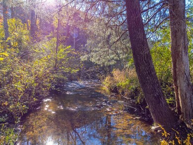 183 Sanderstown Rd, Franklin, NC 28734 - photo 5