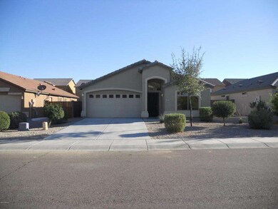 Mesquite Tree 003