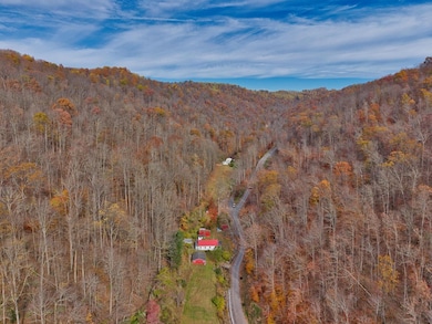 131 Big Bear Run Rd, Smithfield, WV 26437 - photo 4