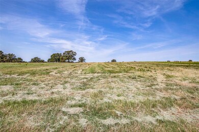 TBD Swallowtail, Poolville, TX 76487 - photo 5