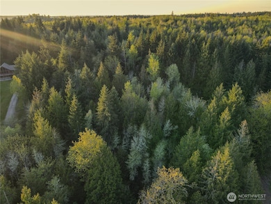 18415 170th St E, Bonney Lake, WA 98391 - photo 3