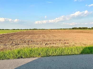 Lot 1 Roesler Rd, Needville, TX 77461 - photo 4