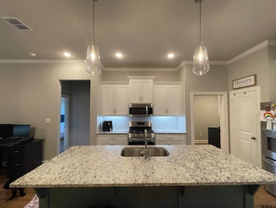 10003 Dayspring Dr, Flint, TX 75762 - photo 5