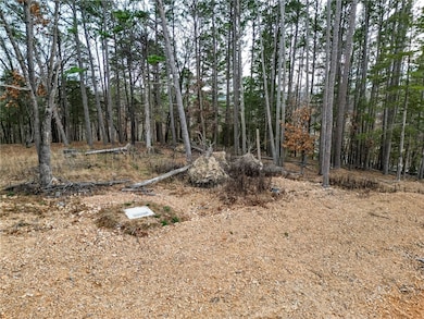 Lot 8 Blisslake Ln, Rogers, AR 72756 - photo 7