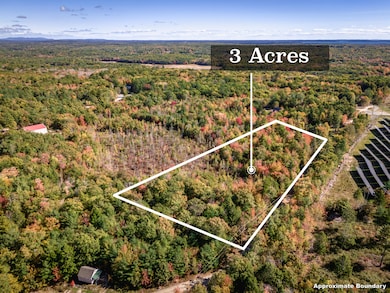 DJI_20241011112655_0566_D-Enhanced-NR (1