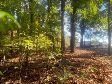 0 Ulverston Dr, Bella Vista, AR 72714 - photo 2