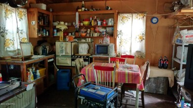 9156 S Taylor, Baldwin, MI 49304 - photo 2