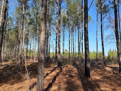 Ga Hwy 142, Shady Dale, GA 31064 - photo 5