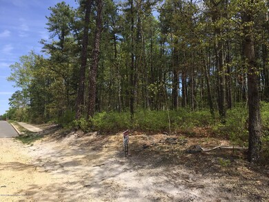 0000 Mckinley Ave, Bayville, NJ 08721 - photo 4