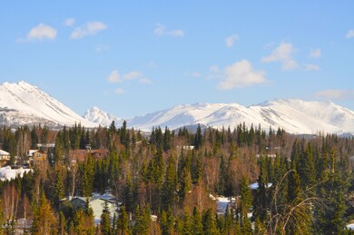 mountain views