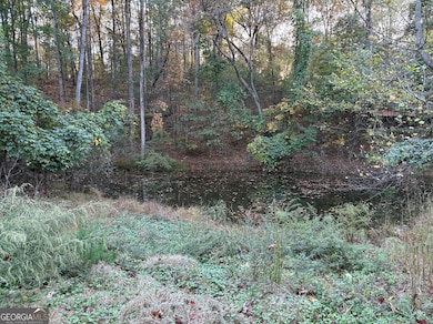 Pond on Property