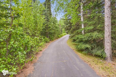 Wooded Driveway