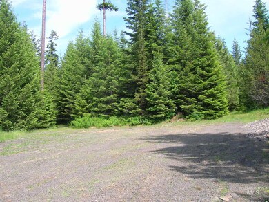 79 Bugling Elk Ln Lot D, Weippe, ID 83553 - photo 3