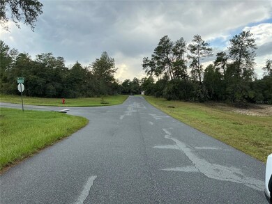 0 SW 178th St, Ocala, FL 34473 - photo 6