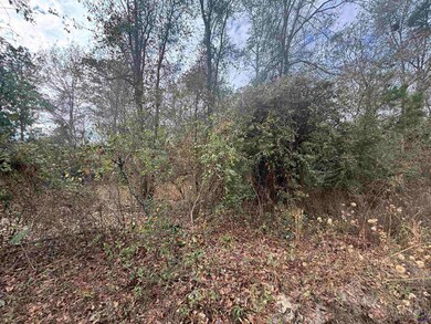 Parcel  A Wiggum Rd & St James Rd, Cochran, GA 31014 - photo 3