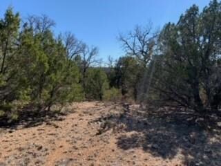 231 Cottongame Dr, Weatherford, TX 76088 - photo 5