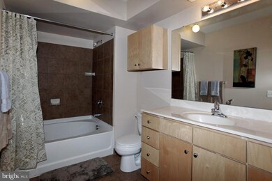 The Lafayette at Penn Quarter unit 331, Washington, DC 20004 - photo 3