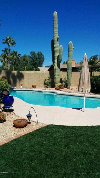 14802 North 50th Place Pool 2