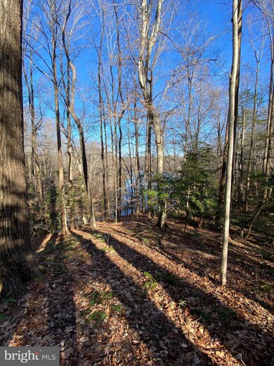 0 Lot 68 & 67 S Independence unit VAWE118306, Montross, VA 22520 - photo 6