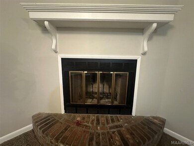 Wood burning fireplace