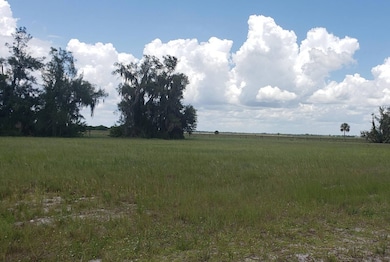 8009 Castile Rd, Sebring, FL 33876 - photo 5