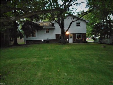 Another view of the large backyard