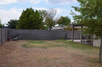 Large Backyard