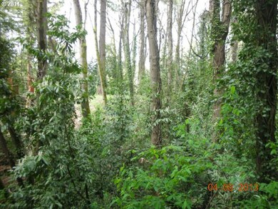 710 Oak St, Lake Oswego, OR 97034 - photo 4