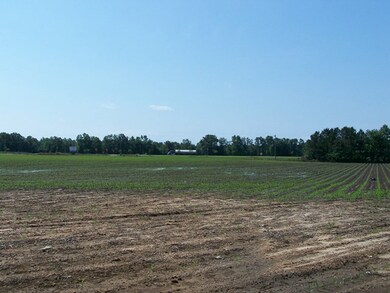 00 Highway 15 and 301, Santee, SC 29142 - photo 4