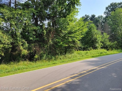 ABC Hemingway Lake, Otter Lake Vlg, MI 48464 - photo 3