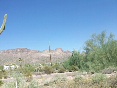 Canyon Street - 2