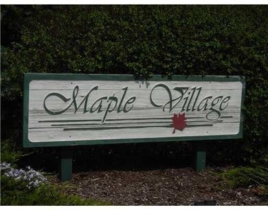 241 N Maple Rd, Saline, MI 48176 - photo 5