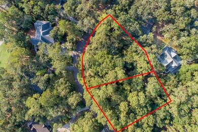 3205&3215 Pine Needle Ln, Seabrook Island, SC 29455 - photo 3