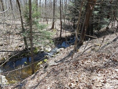 524 Rowland Rd, Greeley, PA 18425 - photo 6