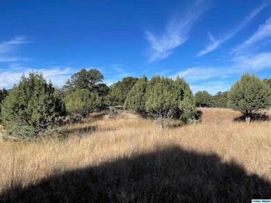xx Himalaya Ct, Silver City, NM 88061 - photo 2
