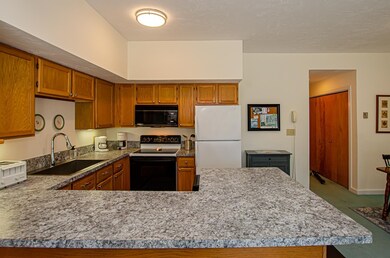 40 Davis Rd unit 2, Plymouth, NH 03264 - photo 3