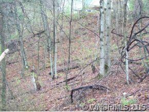 Easy Sloping Woods