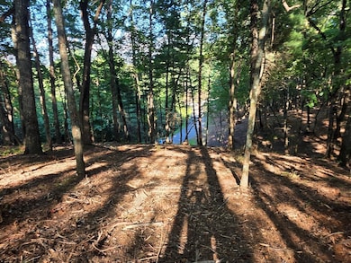 124R Red Oak Trail, East Ellijay, GA 30540 - photo 3