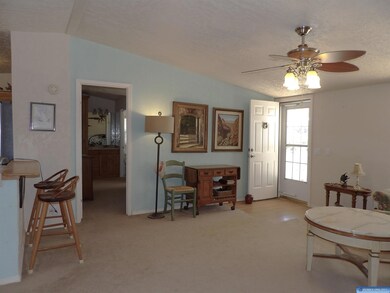5151 Little Walnut Rd, Silver City, NM 88061 - photo 3