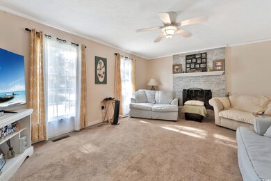 Living room with light colored carpet, a healthy a