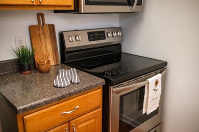 1086 Oakdale Ct, Rockingham, VA 22801 - photo 4